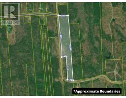 Lot(s) Havre Boucher (simons) Road, Frankville, NS B0H1K0 Photo 9