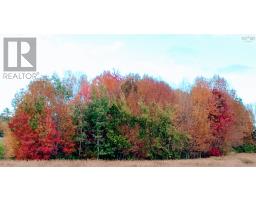 Lot(s) Havre Boucher (simons) Road, Frankville, NS B0H1K0 Photo 11