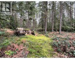 Lot 2 Walker Rd, Duncan, BC V9L6H7 Photo 12