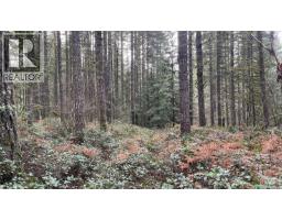 Lot 2 Walker Rd, Duncan, BC V9L6H7 Photo 7