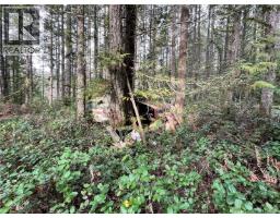 Lot 2 Walker Rd, Duncan, BC V9L6H7 Photo 13