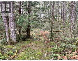 Lot 2 Walker Rd, Duncan, BC V9L6H7 Photo 6