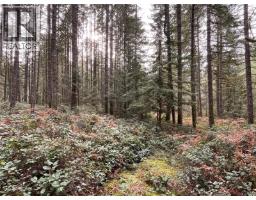 Lot 2 Walker Rd, Duncan, BC V9L6H7 Photo 16