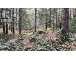 Lot 2 Walker Rd, Duncan, BC V9L6H7 Photo 8