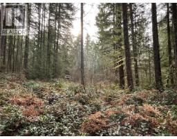 Lot 2 Walker Rd, Duncan, BC V9L6H7 Photo 14