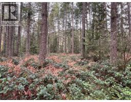 Lot 2 Walker Rd, Duncan, BC V9L6H7 Photo 15