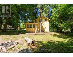 41 Mill Street, Mississauga, ON L5M1Y3 Photo 32