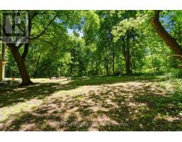41 Mill Street, Mississauga, ON L5M1Y3 Photo 37