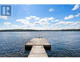 511 East Clear Bay Road, Trent Lakes, ON K0M2A0 Photo 42