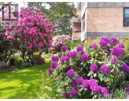 305 2930 Cook St, Victoria, BC V8W3G3 Photo 65