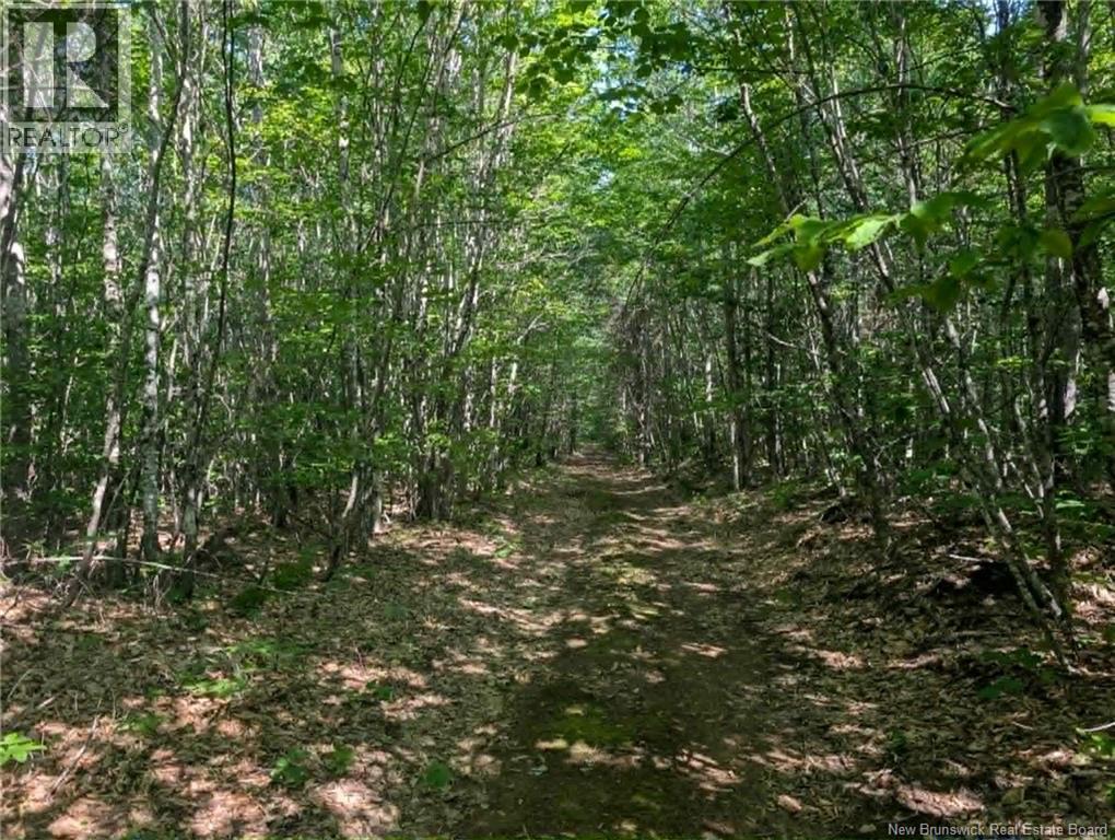 Wood Lot Green Road, Elgin — photo 2