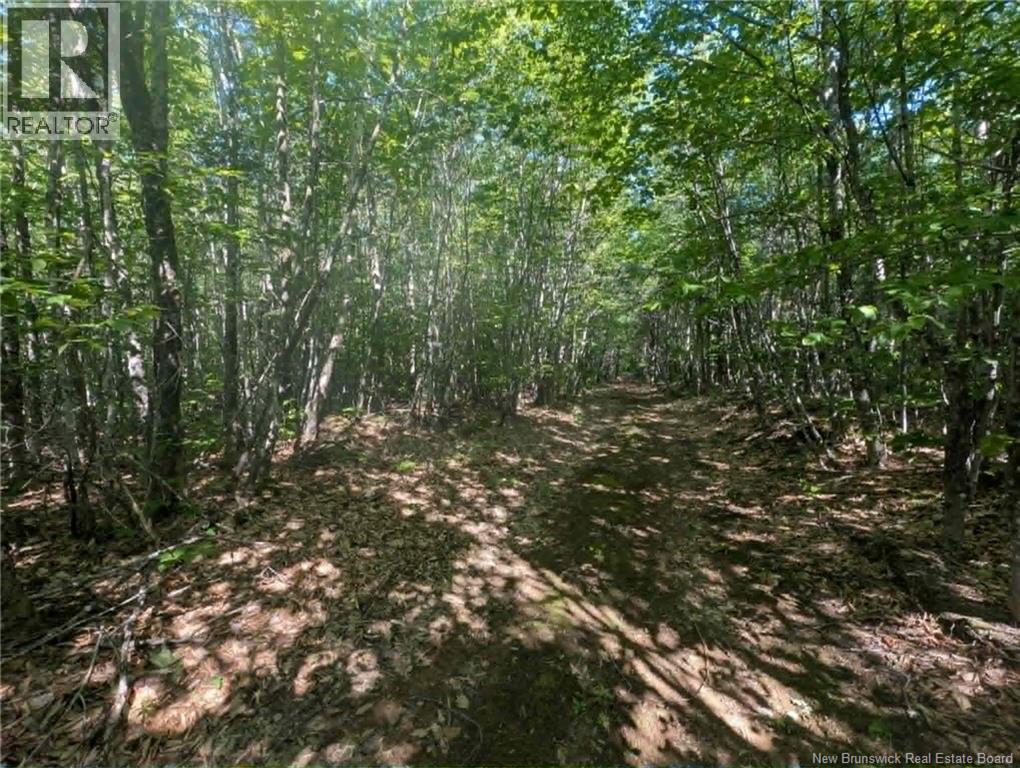 Wood Lot Green Road, Elgin — photo 3