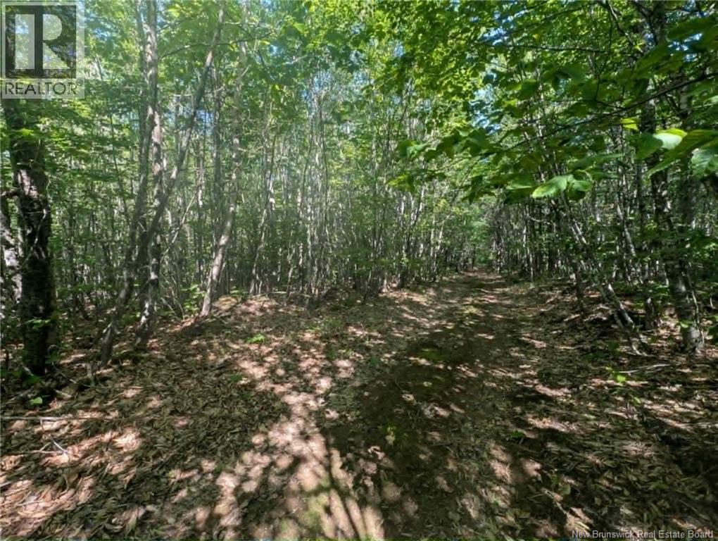 Wood Lot Green Road
