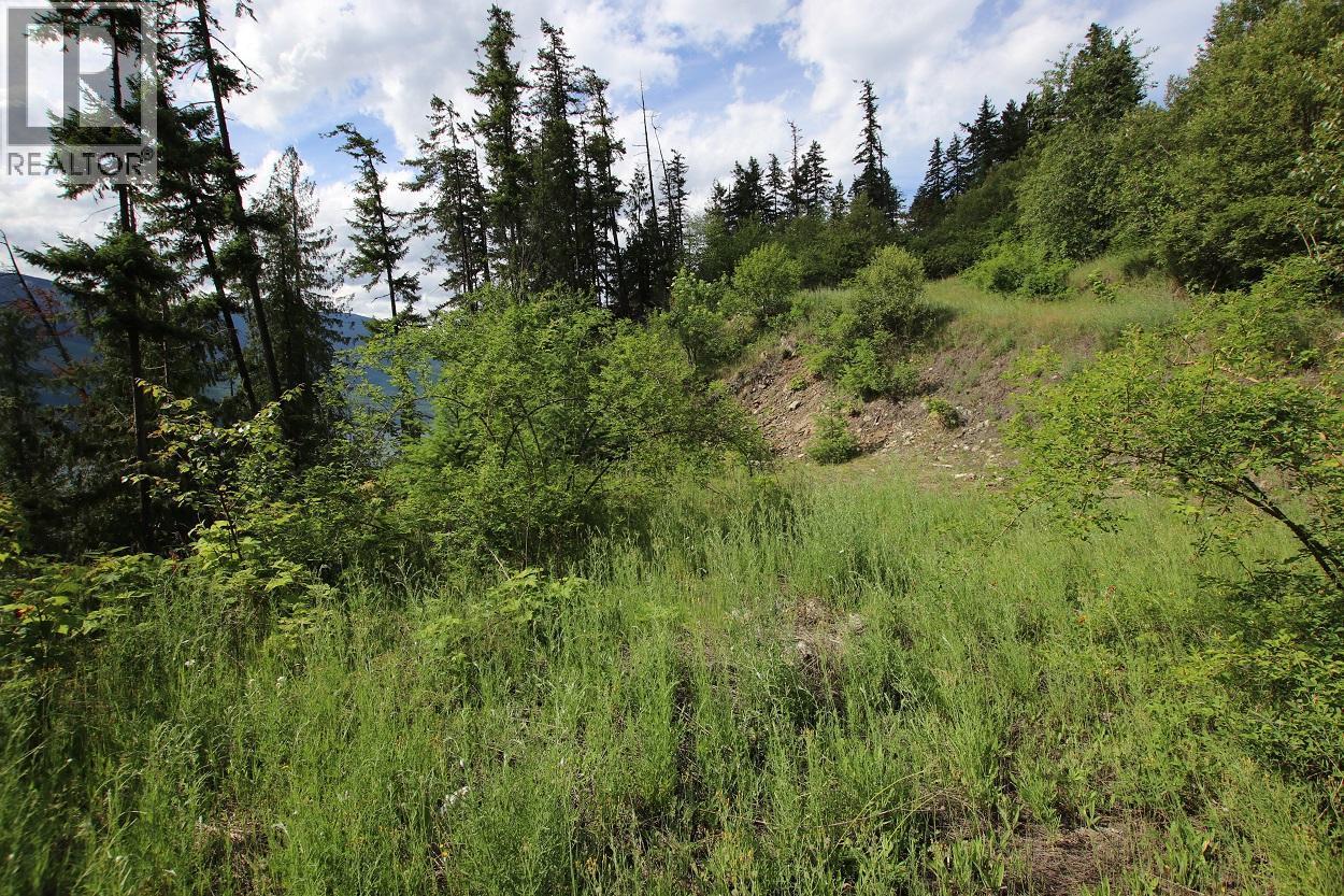 5959 Highway 23, Nakusp — photo 3