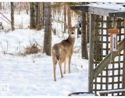 1010 47402 Rge Rd 13, Rural Leduc County, AB T0C2P0 Photo 30