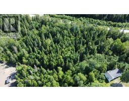 0 Route 350 Highway, Western Arm, NL A0H1Z0 Photo 14