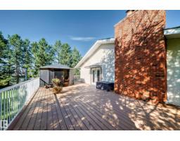 6528 Twp Road 492, Rural Brazeau County, AB T7A1R8 Photo 48