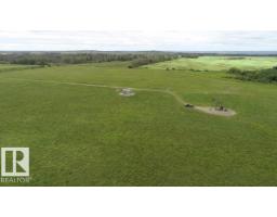 6528 Twp Road 492, Rural Brazeau County, AB T7A1R8 Photo 68