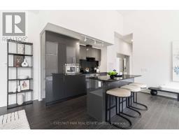 201 - 121 St Patrick Street, Toronto, ON M5T3C1 Photo 10