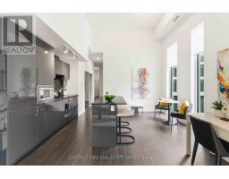 201 - 121 St Patrick Street, Toronto, ON M5T3C1 Photo 6