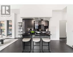 201 - 121 St Patrick Street, Toronto, ON M5T3C1 Photo 9