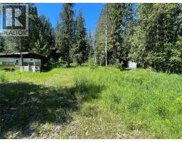 5568 Trans Canada Highway, Malakwa, BC V0E1M3 Photo 17