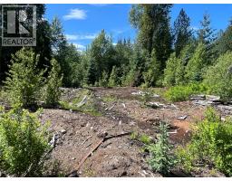 5568 Trans Canada Highway, Malakwa, BC V0E1M3 Photo 15