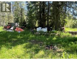 5568 Trans Canada Highway, Malakwa, BC V0E1M3 Photo 21