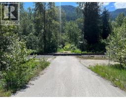 5568 Trans Canada Highway, Malakwa, BC V0E1M3 Photo 7