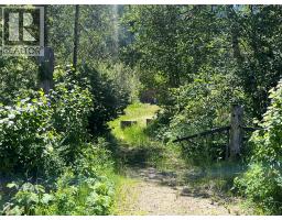 5568 Trans Canada Highway, Malakwa, BC V0E1M3 Photo 8