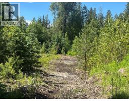 5568 Trans Canada Highway, Malakwa, BC V0E1M3 Photo 14