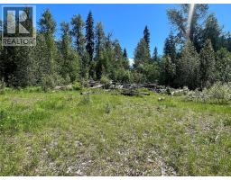 5568 Trans Canada Highway, Malakwa, BC V0E1M3 Photo 12