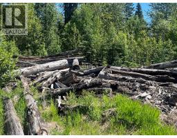 5568 Trans Canada Highway, Malakwa, BC V0E1M3 Photo 13