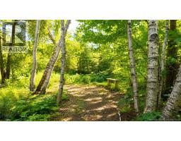 81 Rue Principale, Pointe Verte, NB E8J2W2 Photo 45