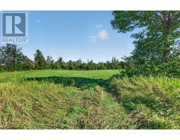 Pt Lt 3 Con 10 Dafoe Street, Greater Napanee, ON K0K2W0 Photo 16