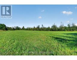 Pt Lt 3 Con 10 Dafoe Street, Greater Napanee, ON K0K2W0 Photo 17