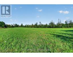 Pt Lt 3 Con 10 Dafoe Street, Greater Napanee, ON K0K2W0 Photo 18
