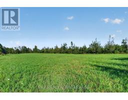 Pt Lt 3 Con 10 Dafoe Street, Greater Napanee, ON K0K2W0 Photo 19