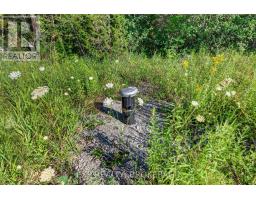 Pt Lt 3 Con 10 Dafoe Street, Greater Napanee, ON K0K2W0 Photo 23