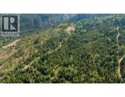 Lot 1 Elliot Forest Service Road, Lemon Creek, BC V0G2C0 Photo 10