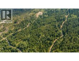Lot 1 Elliot Forest Service Road, Lemon Creek, BC V0G2C0 Photo 11