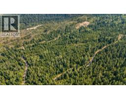 Lot 1 Elliot Forest Service Road, Lemon Creek, BC V0G2C0 Photo 12