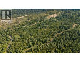 Lot 1 Elliot Forest Service Road, Lemon Creek, BC V0G2C0 Photo 13