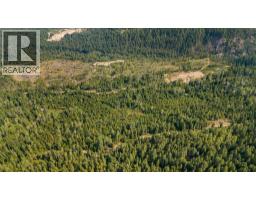 Lot 1 Elliot Forest Service Road, Lemon Creek, BC V0G2C0 Photo 14