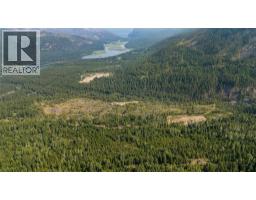 Lot 1 Elliot Forest Service Road, Lemon Creek, BC V0G2C0 Photo 15