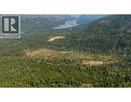 Lot 1 Elliot Forest Service Road, Lemon Creek, BC V0G2C0 Photo 16