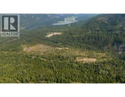 Lot 1 Elliot Forest Service Road, Lemon Creek, BC V0G2C0 Photo 17