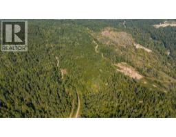 Lot 1 Elliot Forest Service Road, Lemon Creek, BC V0G2C0 Photo 18
