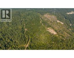 Lot 1 Elliot Forest Service Road, Lemon Creek, BC V0G2C0 Photo 19