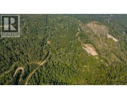 Lot 1 Elliot Forest Service Road, Lemon Creek, BC V0G2C0 Photo 20